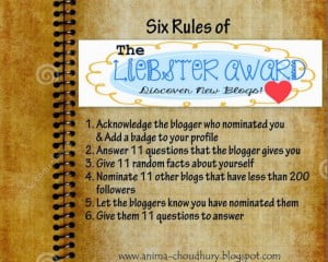 Rules-for-Liebster-Award-1024x819-e1423949036147